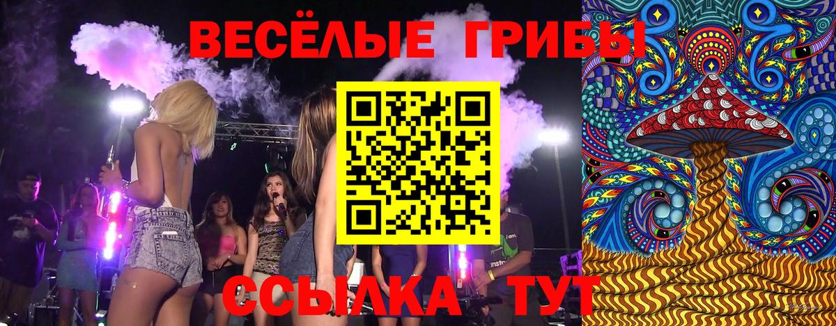 Челябинск  Галлюциногенные грибы прущие грибы  Вход с VPN 