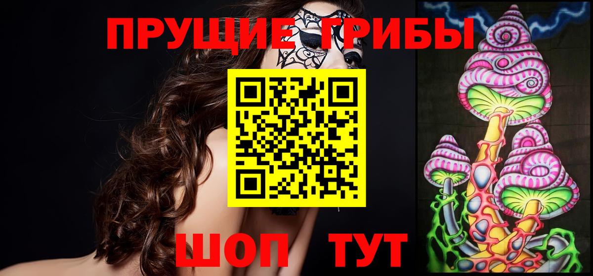 Псилоцибиновые грибы Psilocybe Челябинск